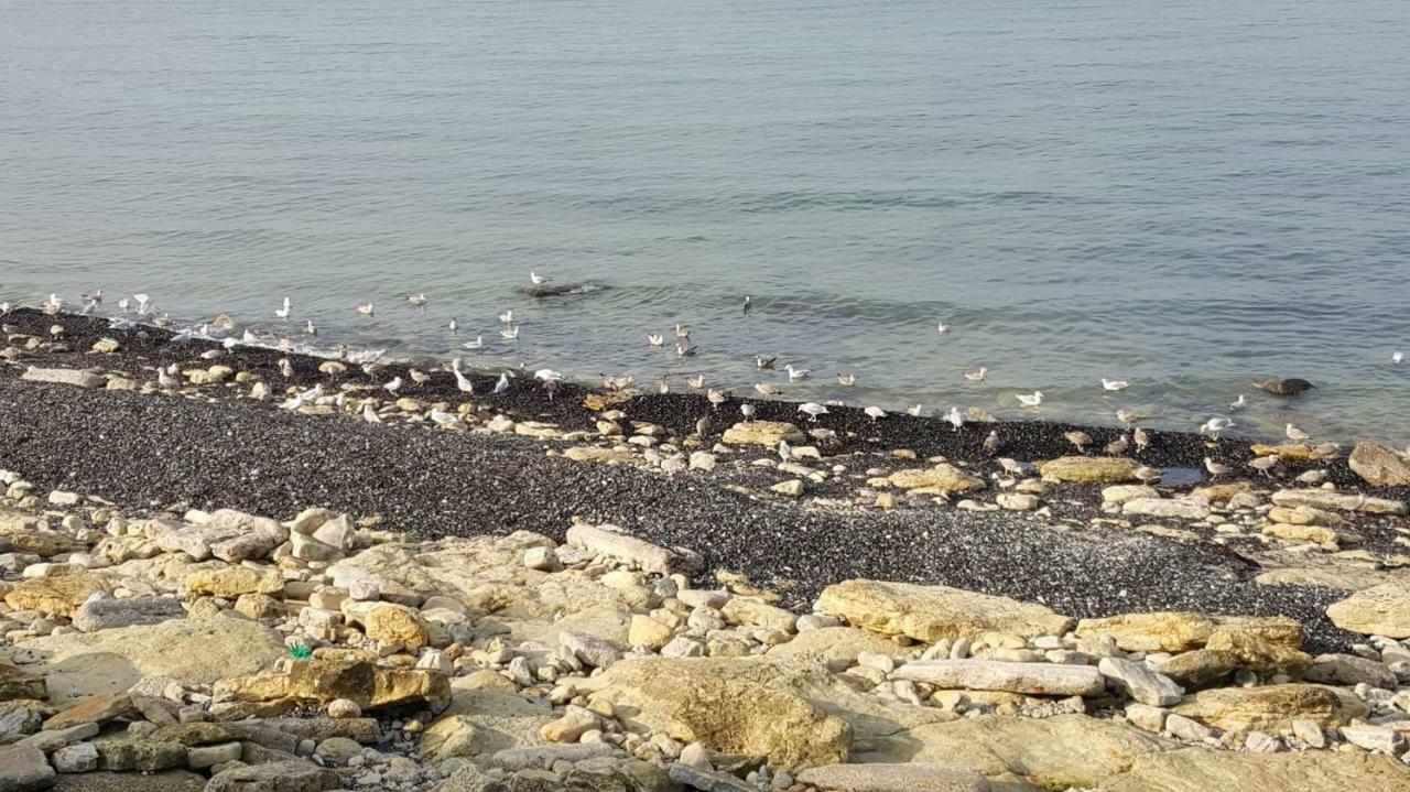 La Naturelle 119 Wimereux Bagian luar foto